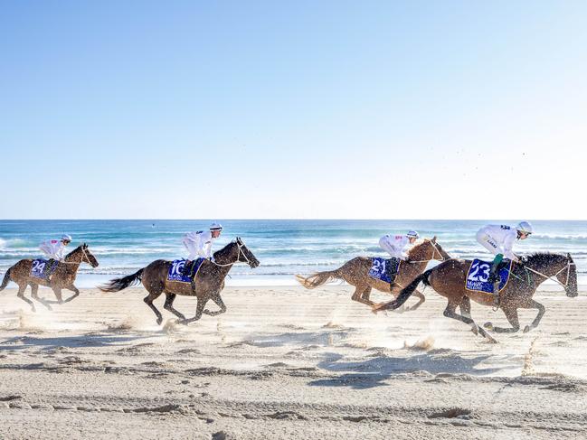 Horses run along the Surfers Paradise shore during the Magic Millions Beach Run. Picture by Luke Marsden.