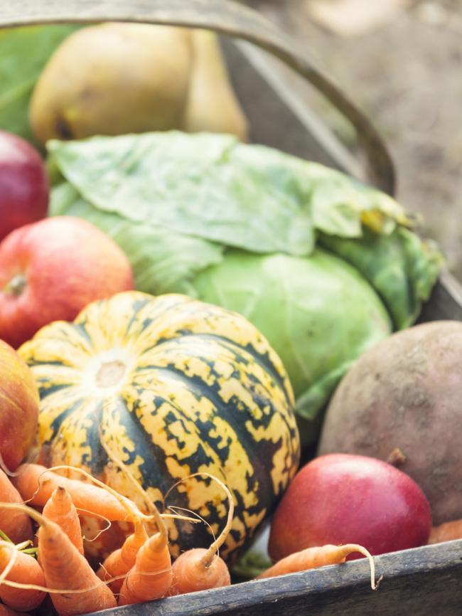 Vegetables help reduce risk of premature birth. Photo. istock