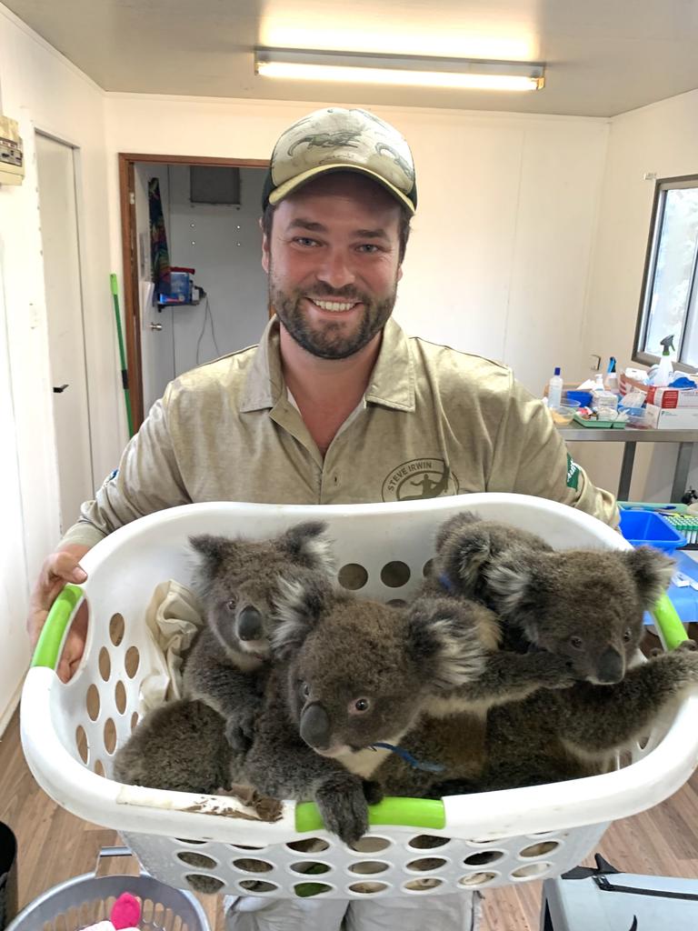 The Kangaroo Island Koala Rescue Centre is now a functioning charity.