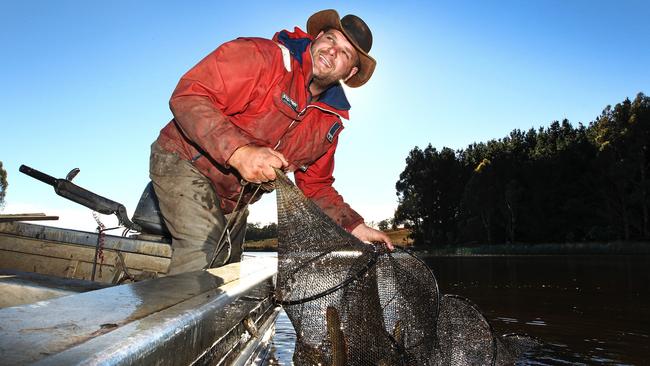 Commercial eel fisher Brad Finlayson harvests eels at Moriarty.