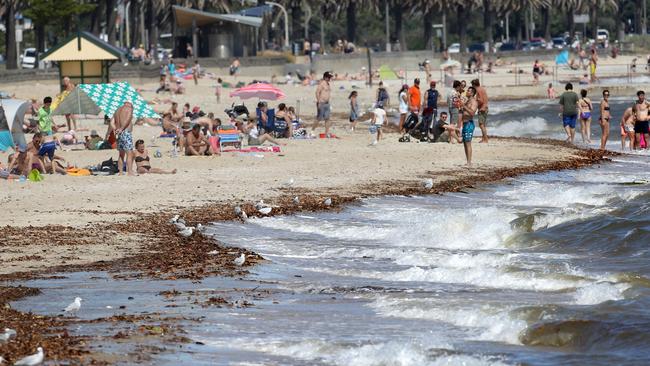 Yesterday's storm has swamped the bay's beaches with pollution leaves and dirt, with Kerferd Rd beach covered in mess. Picture: Stuart MIliigan