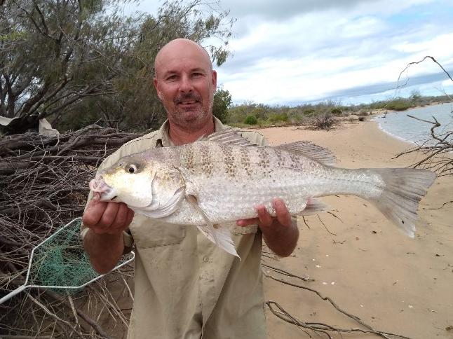 BUNDY FISHING REPORT: Jeremy Herbst with a 61cm grunter in the Kolan River.