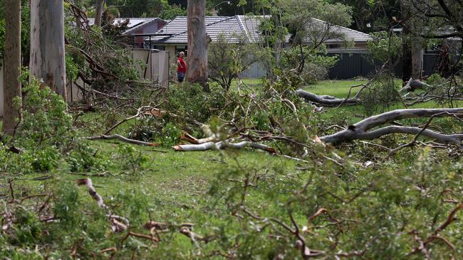 Helensvale was smashed by a ferocious storm. Pics Adam Head