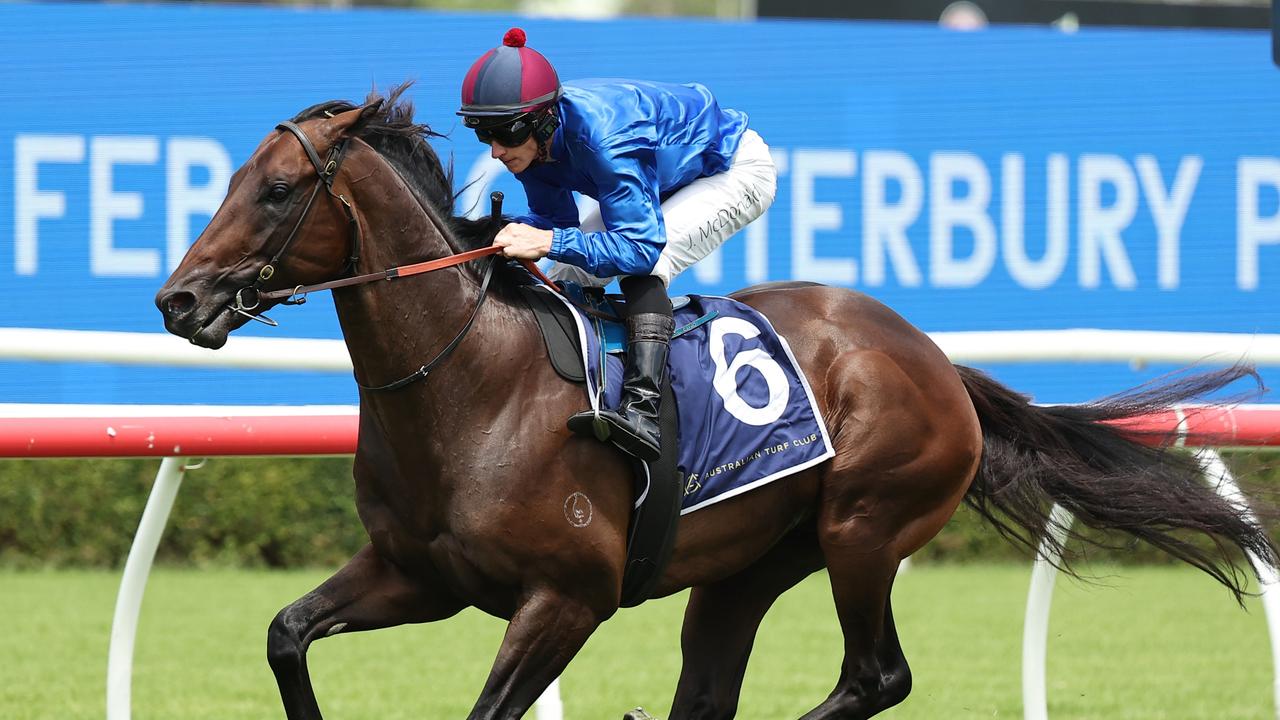 Autumn stars on show at Rosehill on Saturday