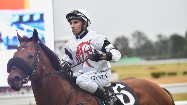 Jockey Jeff Penza brings home Signore Fox, from the Peter and Paul Snowden stables, after the four-year-old snatched victory in the 2020 GDSC Ramornie Handicap.