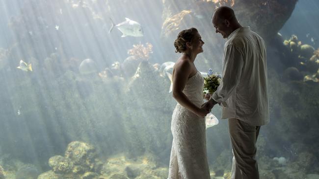 A couple getting married at Daydream Island Resort and Living Reef. Picture: Daydream Island