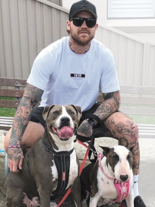 A Shark walking his dogs. Photo: Supplied