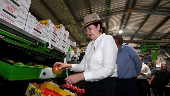 Queensland Premier Annastacia Palaszczuk announced cuts to irrigation prices for farmers during a visit to Marto’s Mangoes in Bowen. Picture: NCA NewsWire / Dan Peled