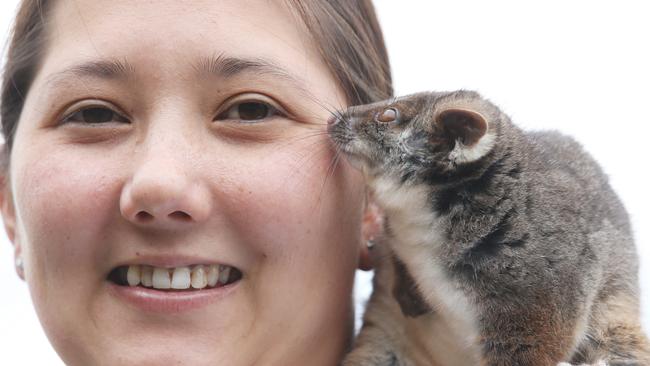 Wildlife carer Carla Penn sas a cat curfew wouldn’t be enforced. Picture: Mark Wilson