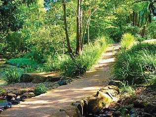 Tucki Tucki Creek in Goonellabah is one of many walking tracks in Lismore that people can explore.