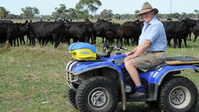 Former AFL boss Wayne Jackson inspects the herd on his property in South Australia's South East.