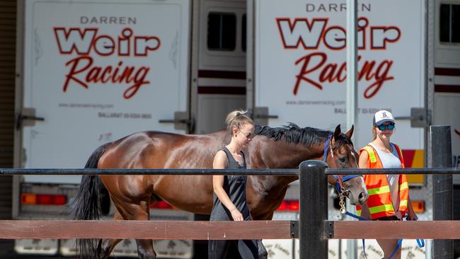 Horses from Darren Weir’s stables have been transferred to new trainers. Picture: Jay Town