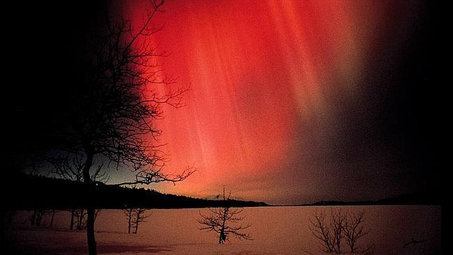 Aurora borealis northern lights in the night sky over the Yukon, Canada.  