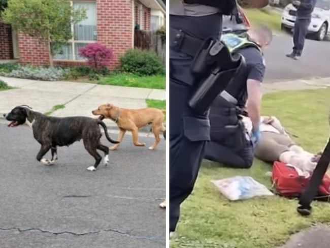 Neighbours have claimed dogs that mauled two women in Melbourne’s northwest were reported multiple times before the attacks. Picture: 7NEWS.