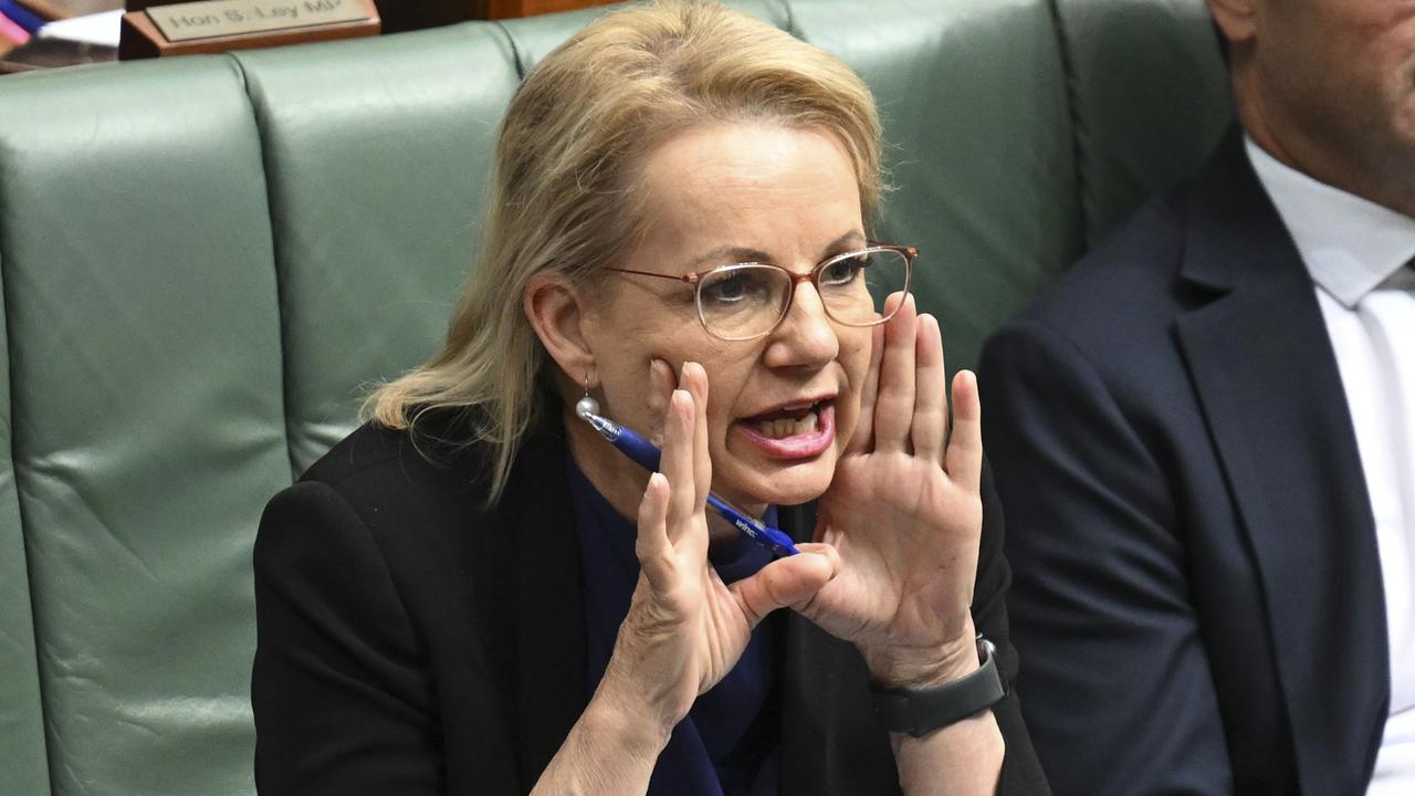 Ms Ley has pledged to rebuild the party. Picture: NewsWire / Martin Ollman