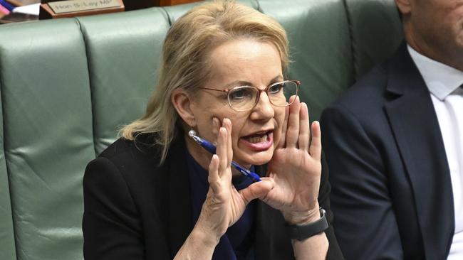 Ms Ley has pledged to rebuild the party. Picture: NewsWire / Martin Ollman