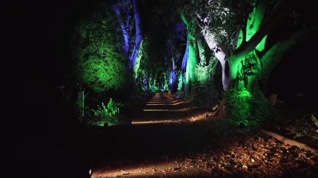 Botanica Illumnia 2020: Adelaide Botanic Garden in a new light