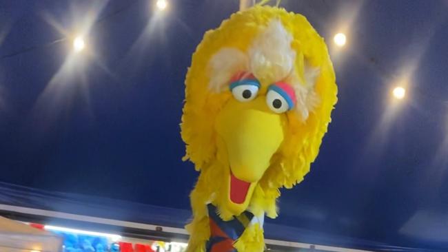 Police are investigating after a Big Bird costume was stolen from Bonython Park overnight. Picture: SA Police