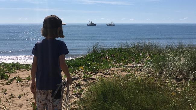 Moore Park Beach resident Joanna Nicolson shared this photo of her seven-year-old son Samuel Sanderson after discovering the bycatch from the trawlers.