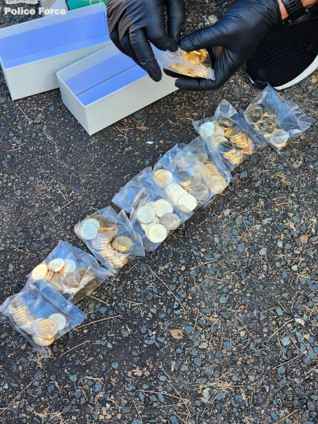 Some of the 40,000 coins stolen coins recovered. Picture: NSW Police