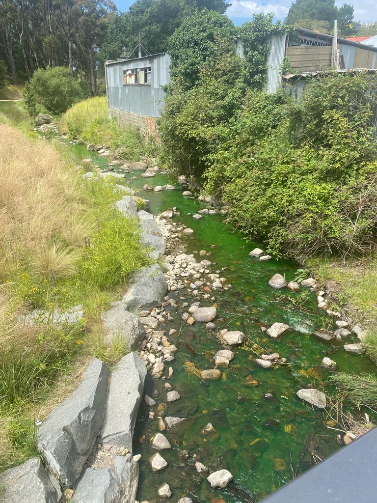 A section of the Hobart rivulet on Monday. Pic: Harry Schofield.