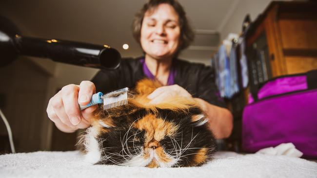 Wendy Mieglitz at home with her prized cat Stella. Picture: Nicole Cleary