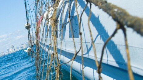 Shark nets and drumlines were taken away from some Gold Coast beaches in the leadup to Cyclone Oma. 