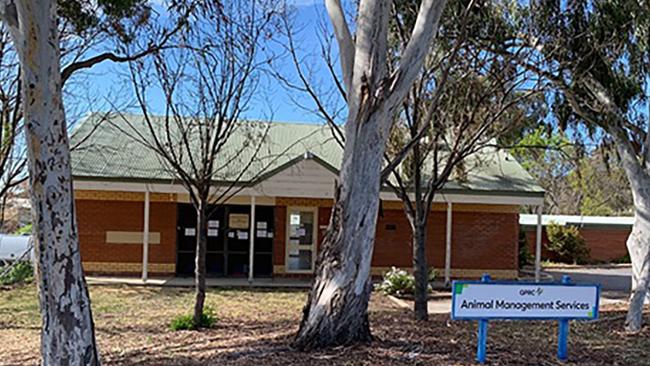 Queanbeyan Animal Management Facility made a “difficult decision” to euthanise 21 dogs after an animal. Picture: Supplied