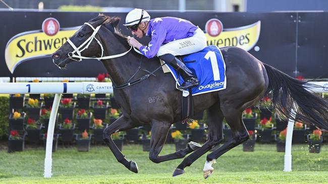 Vanessi can make it back-to-back wins when she heads to Randwick. Picture: Bradley Photos