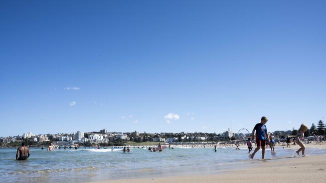 Waverley Council is pushing to remove shark nets permanently from Bondi Beach. Picture: NCA NewsWire / Monique Harmer