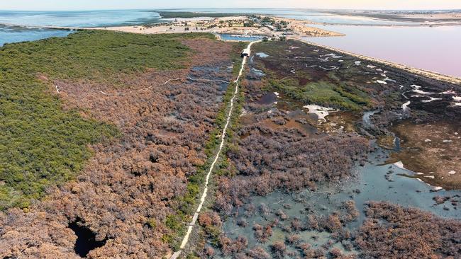 Drone footage reveals damage to mangroves and saltmarsh at St Kilda. Picture: Alex Mausolf