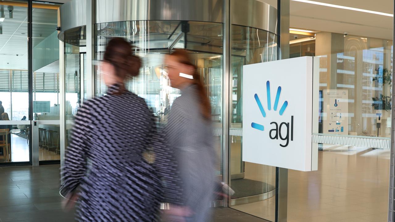 AGL Investors force Paula Dwyer to pull out of running as chair