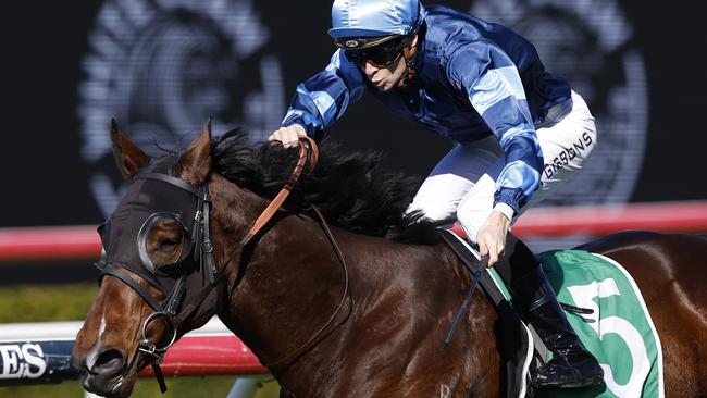 The Jean Dubois-trained Zadig can win a second TAB Highway at Randwick on Saturday. Picture: Getty Images