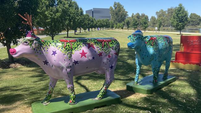 Started with three, and now there are two after vandals targeted Shepparton’s Christmas Cows.