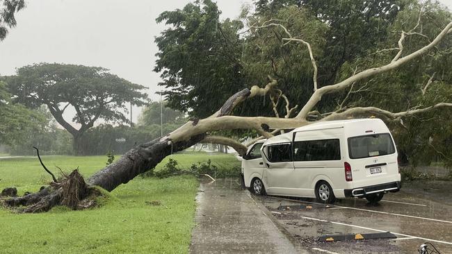 A tree smashed a vehicle at Forrest Street, Rosslea overnight Sunday. Photo: Evan Morgan