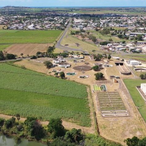 GREEN OUTLOOK: Drone photo of Bundaberg bioHub site (mowed area) June 2020.