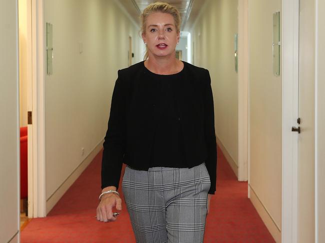 Sport Minister Bridget McKenzie at Parliament House in Canberra