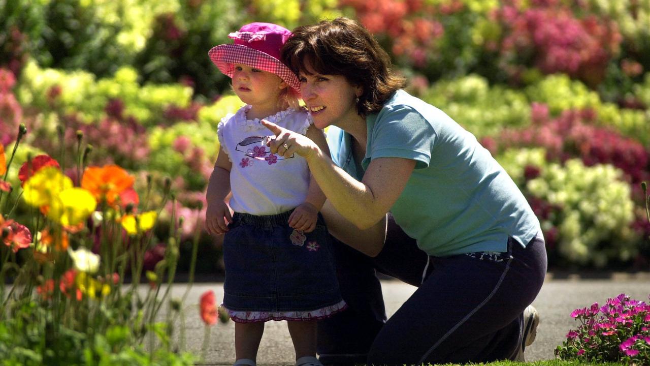 Toowoomba Carnival of Flowers is still going ahead despite the Level 4 Water Restricition – Tahni Davis 2yrs along mum Theresa among the flowerbeds in Queens Park. Picture: David Martinelli.