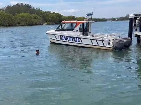 Frantic search after car drives off Central Coast wharf