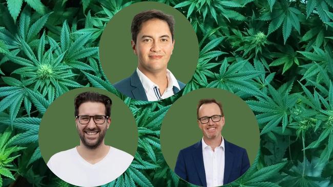 Cannabis in Queensland. Experts give their view. Horizontal. Picture: Supplied.