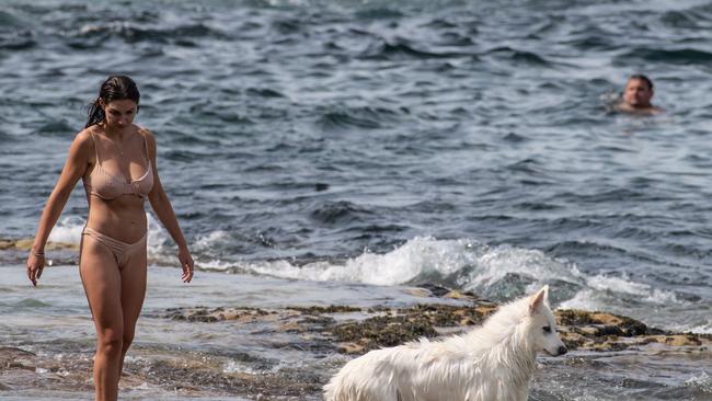 A woman with a dog in the water at Bondi Beach. Picture: NCA Newswire / James Gourley