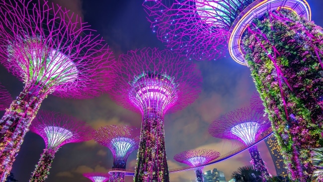 The spectacular Gardens By The Bay in Singapore.