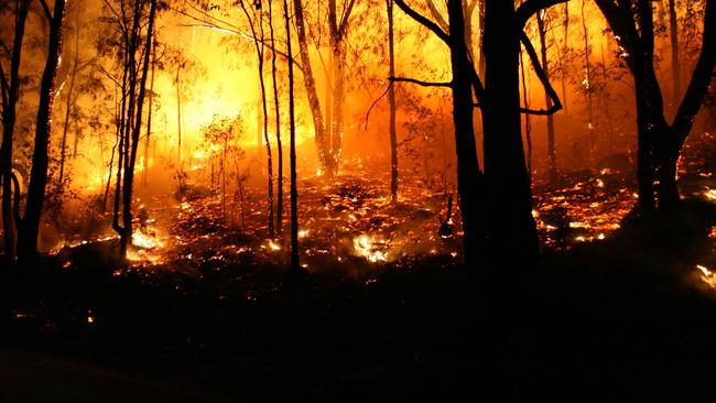 Webb was jailed for scamming a fund set up to help bushfire victims.