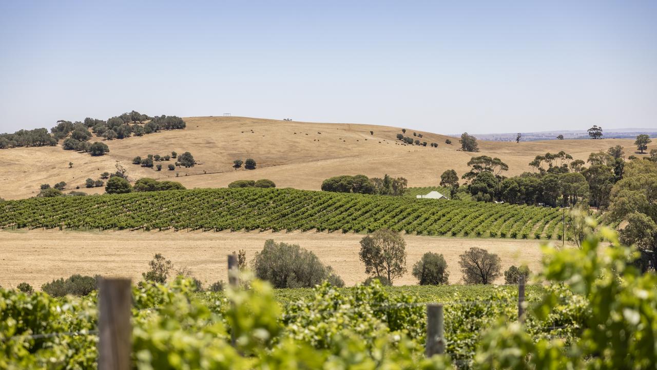 The site of the new InterContinental hotel at the Barossa Valley. Picture: Supplied