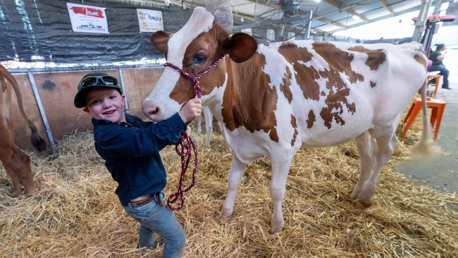 Jep Ferguson, 5. Picture: Rob Leeson