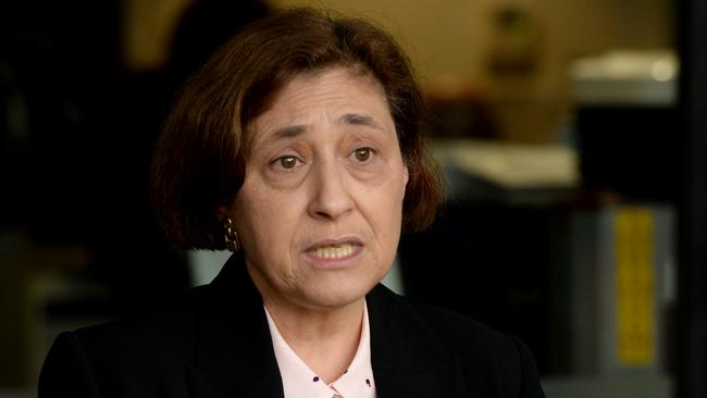 Lily D'Ambrosio, Victorian Minister for Environment and Climate Change, speaks to the media at Parliament House in Melbourne. Picture: Andrew Henshaw