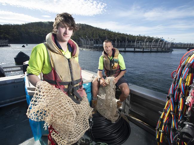 2/12/2024: (L-R) Farm hand Matt Heard, 18 with Peter Heard, Farming R&D Manager pictured at Tassal operations in the D'Entrecasteaux Channel, Tasmania. Picture: Eddie Safarik