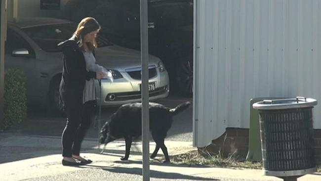 Emma Husar has apologised for bringing her dog to her electoral office. Picture: Seven News