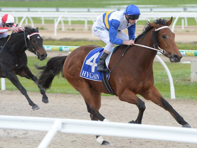 Rewarding Effort wins at Pakenham in June. Picture: Racing Photos