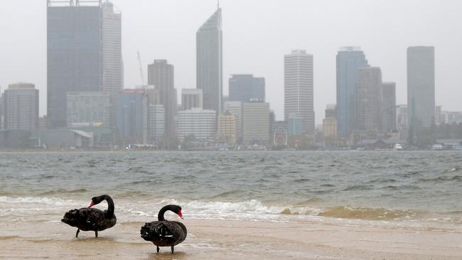 Cold weather is expected to continue in Perth for a few days before rain arrives. Picture: Richard Wainwright/AAP